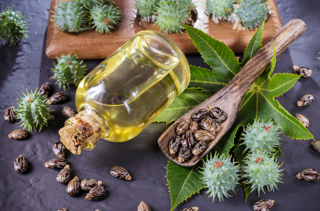 OIL SEEDS & CASTOR OIL