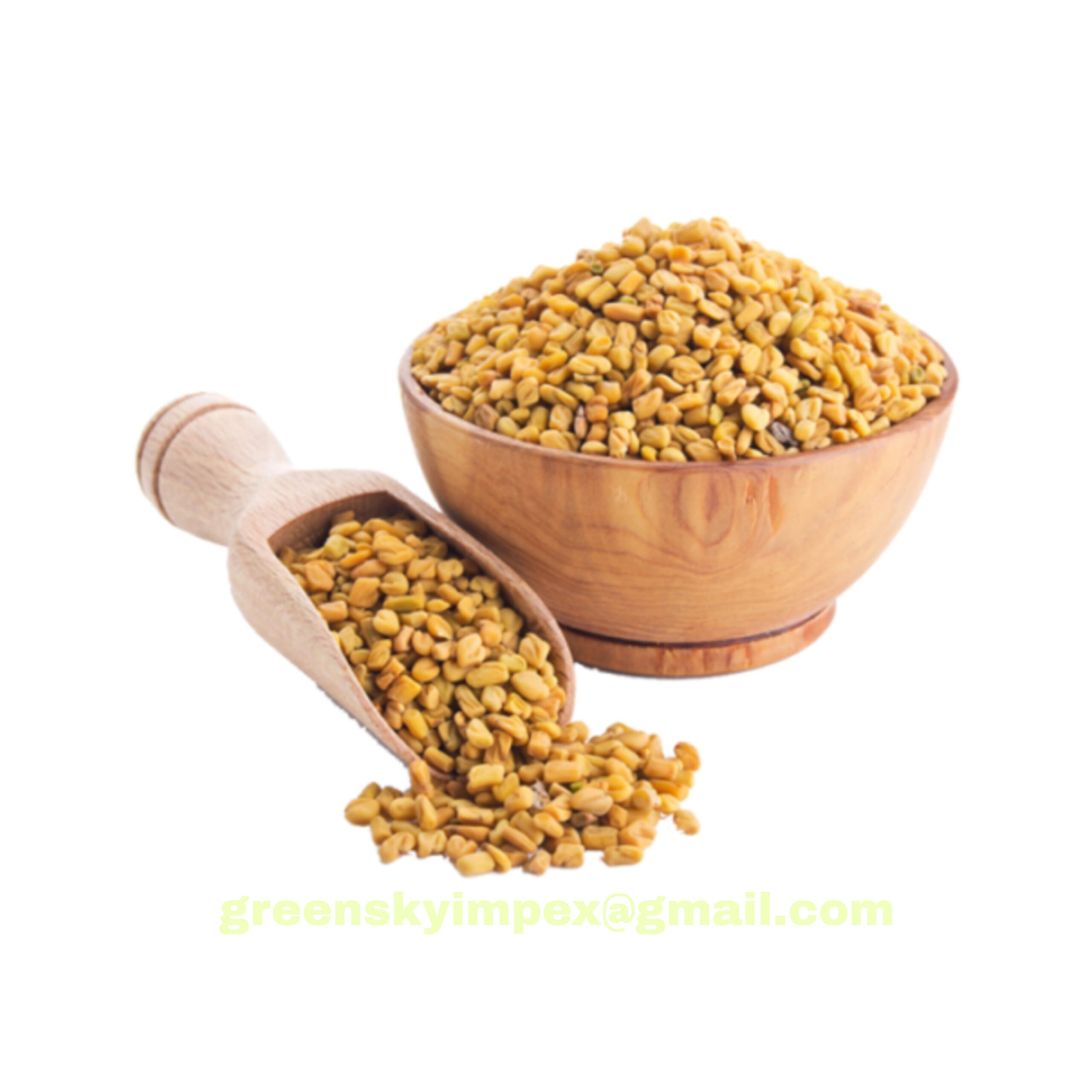 Picsart_22-06-04_12-25-15-413-scaled-1.jpg FENUGREEK SEEDS - Image 1