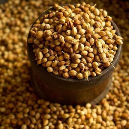 CORIANDER SEED