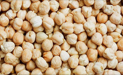 KABULI CHANA CHICKPEAS