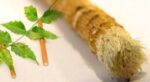 NEEM BRUSH STICK - Image 2