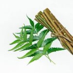 NEEM BRUSH STICK