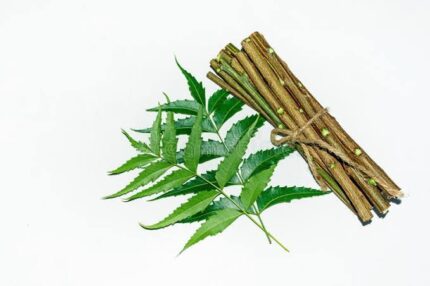 NEEM BRUSH STICK