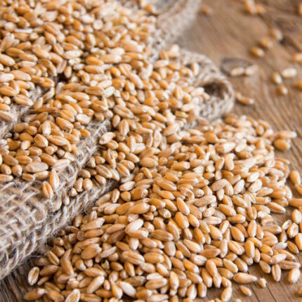 MILLING WHEAT